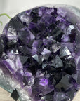 Amethyst Geode Cluster with Large Purple Crystal Points - MWS2698