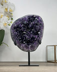 AAA Grade Amethyst Crystal Geode - Large Display Specimen - MWS2937