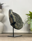 Green Quartz Crystal Cluster with Black Hematite Inclusions - MWS3342