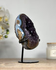 Beautiful Blue Agate & Amethyst Geode - MWS1531