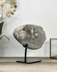 Natural Quartz Druzy Cluster with Metal Stand - MWS2775