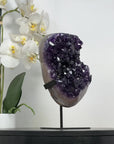 Uruguayan Amethyst Crystal Geode on Stand – Vibrant Purple Druzy - MWS2181