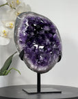 Natural Large Amethyst Geode with Large & Shinny Crystals - MWS1842