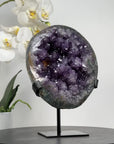 Rare Amethyst Geode Full of Stalactite Formations - MWS1484