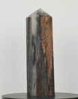 Stunning Large Petrified Wood Obelisk - STP0042
