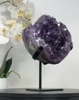 Natural Amethyst Crystal Cluster Specimen - MWS2302