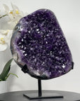 Large Uruguayan Amethyst cluster Specimen - MWS1263
