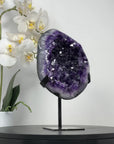 Large Amethyste Geode with Deep Purple Crystals - MWS2352