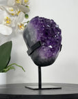 Natural Amethyst Crystal Cluster with Large & Shinny Crystals - MWS1897