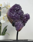 A+ Grade Natural Amethyst Crystal Specimen - MWS2045