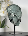 Collection Grade Natural Green Quartz Druzzy Specimen - MWS2516