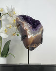 Deep Purple Amethyst Geode with Agate Shell - MWS2188