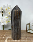 XXL Natural Petrified Wood Stone Obelisk - STP0056