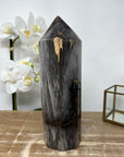 XXL Natural Petrified Wood Stone Obelisk - STP0056