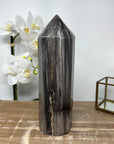 XXL Natural Petrified Wood Stone Obelisk - STP0056