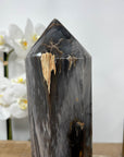 XXL Natural Petrified Wood Stone Obelisk - STP0056