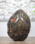Petrified Wood Handmade Stone Egg - STE0088