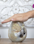 Natural Quartz Stone Egg Shaped Carving - STE0079