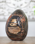 Petrified Wood Handmade Stone Egg - STE0088