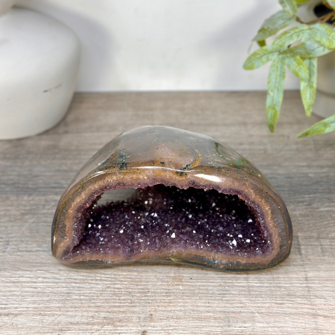 Amethyst Geode with Polished Shell - STGE0099