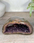 Amethyst Geode with Polished Shell - STGE0099