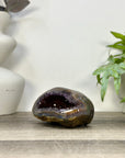 Natural Amethyst Geode with agate Shell - STGE0117