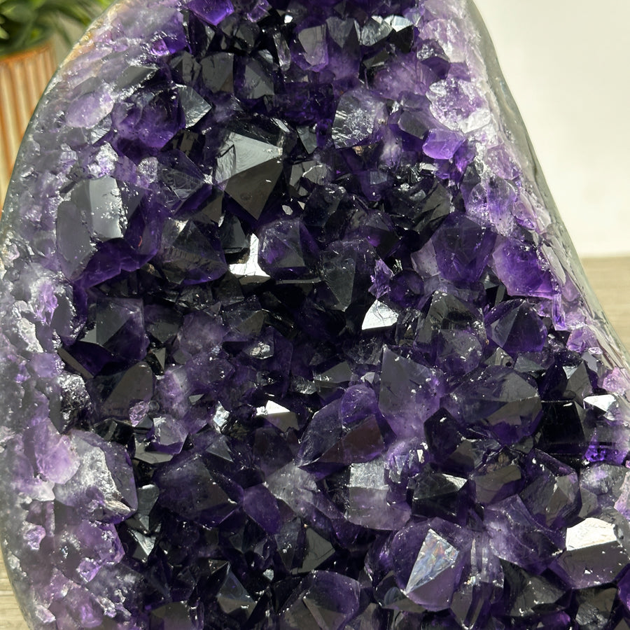 XXL Top Grade Uruguayan Amethyst Cathedral - CBP1192