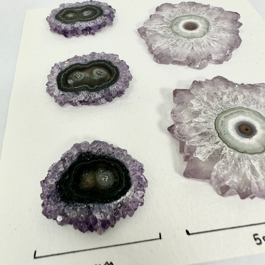 Stunning Amethyst Stalactite Slices for Jewelers - Wholesale Bulk Pack - STS0034