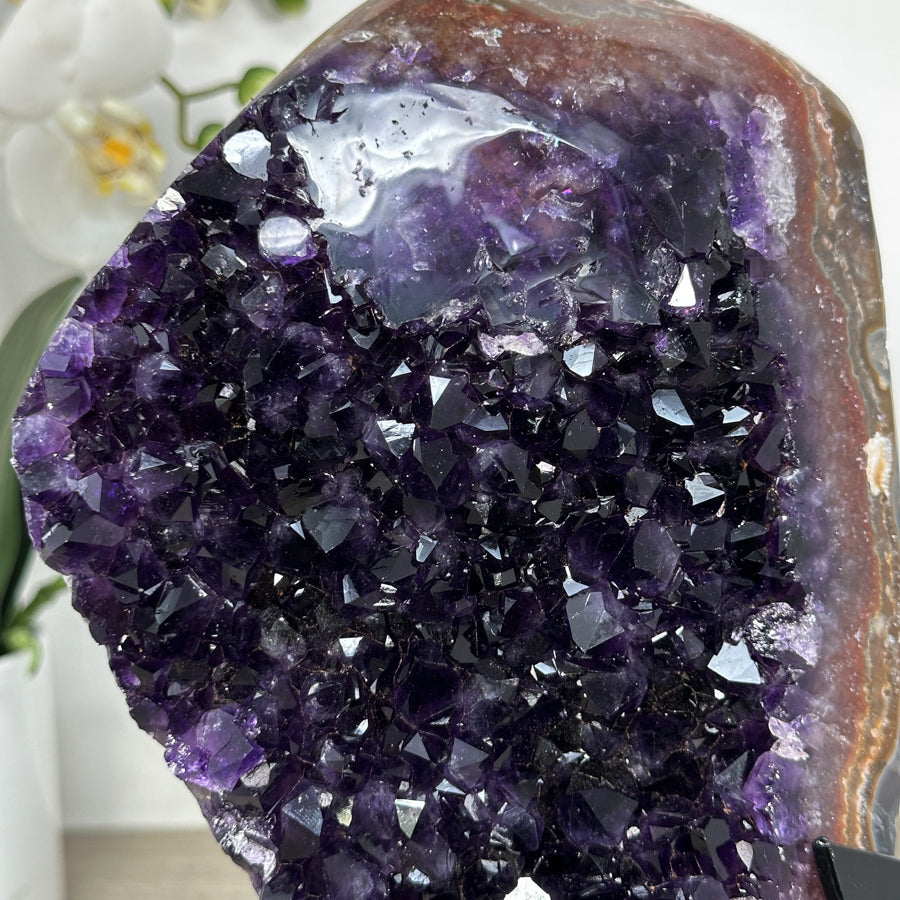 Top Grade Uruguayan Amethyst Cluster with Beautiful Banded Shell - MWS2190
