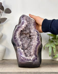 Huge Polished Sugar Amethyst & Agate Geode Statement Piece - CBP1436