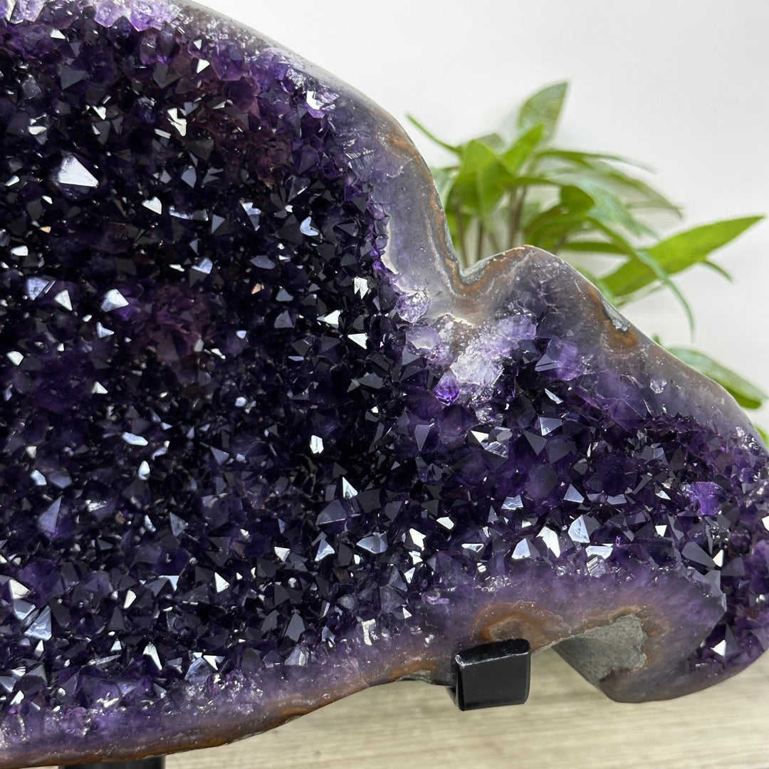 Top Grade Deep Purple Uruguayan Amethyst Geode - MWS3398