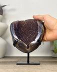 Natural Druzy Amethyst Geode with Agate Shell - MWS3337
