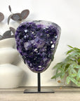 Top Grade Uruguayan Amethyst with Deep Purple Large Crystals on Stand - MWS3281