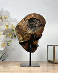 Beautiful Natural Amethyst Crystal with Stalactite Formations - MWS1869