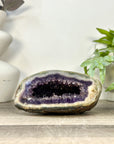 Uruguayan Amethyst Geode with Polished Shell - STGE0120