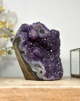 Natural Amethyst Crystal Cluster full of Stalactites - CBP1163