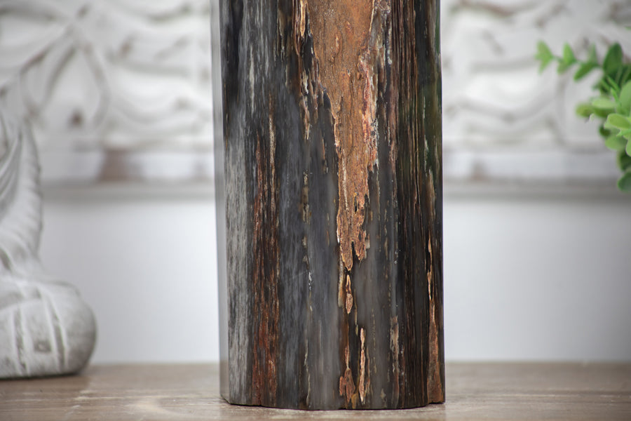 Stunning Large Petrified Wood Obelisk  - STP0042