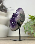 Uruguayan Amethyst Cluster with Large & Shinny Crystals - MWS3314