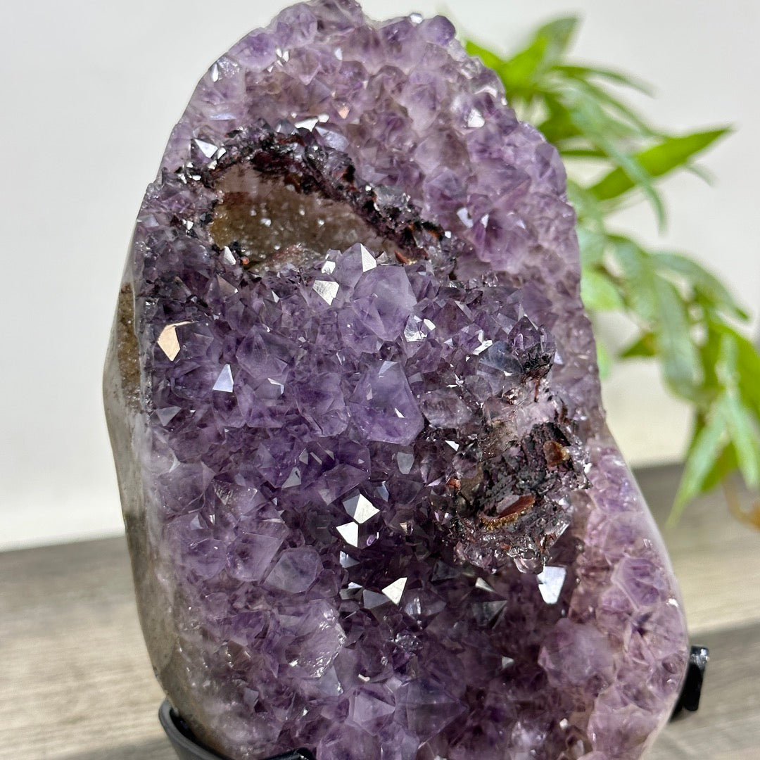Uruguayan Amethyst Cluster with pseudocalcite Inclusion - MWS3353