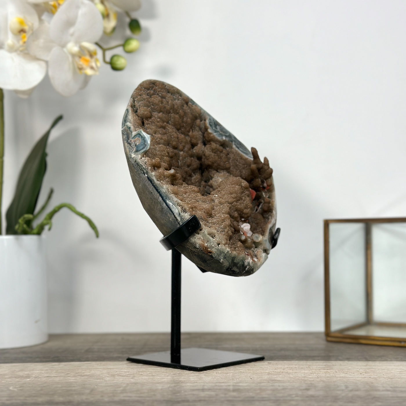 Natural Geode Mineral Specimen with Druzy Crystal Formations - MWS2678