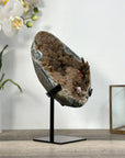 Natural Geode Mineral Specimen with Druzy Crystal Formations - MWS2678