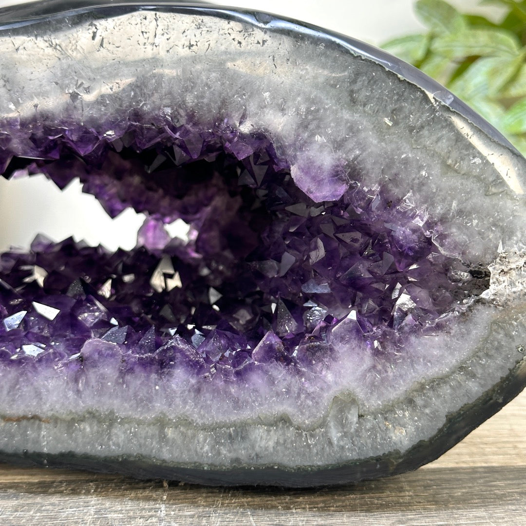 Xl Natural Amethyst Geode with Agate Shell - STGE0072