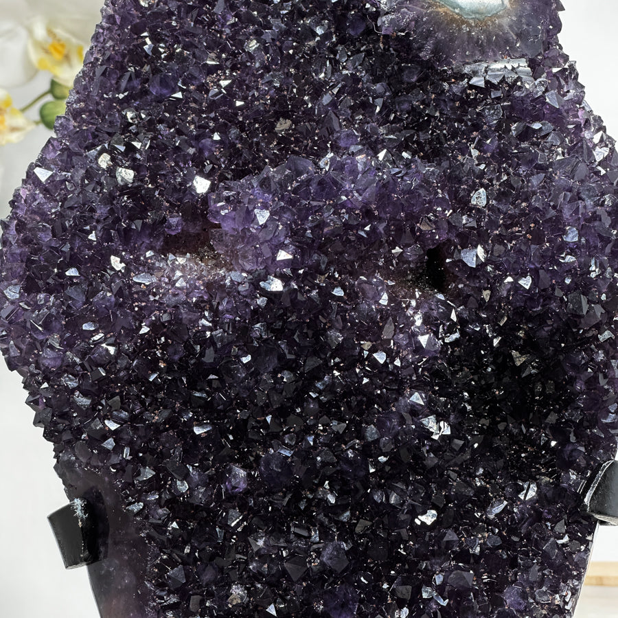 AAA Unique Large Amethyst Cluster Specimen - MWS1456