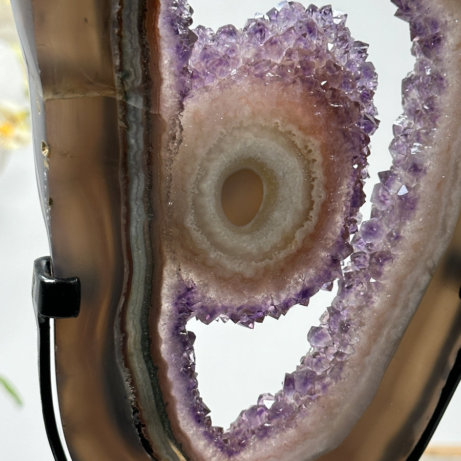 Unique Large Amethyst &amp; Agate Geode Slice Portal with Stalactite Formation - MWS1568