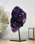 Spectacular Natural Amethyst Specimen with Super Shinny Crystals - MWS1982