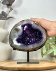 Amethyst & Agate Geode with Polished Shell on Metal Stand - MWS3106