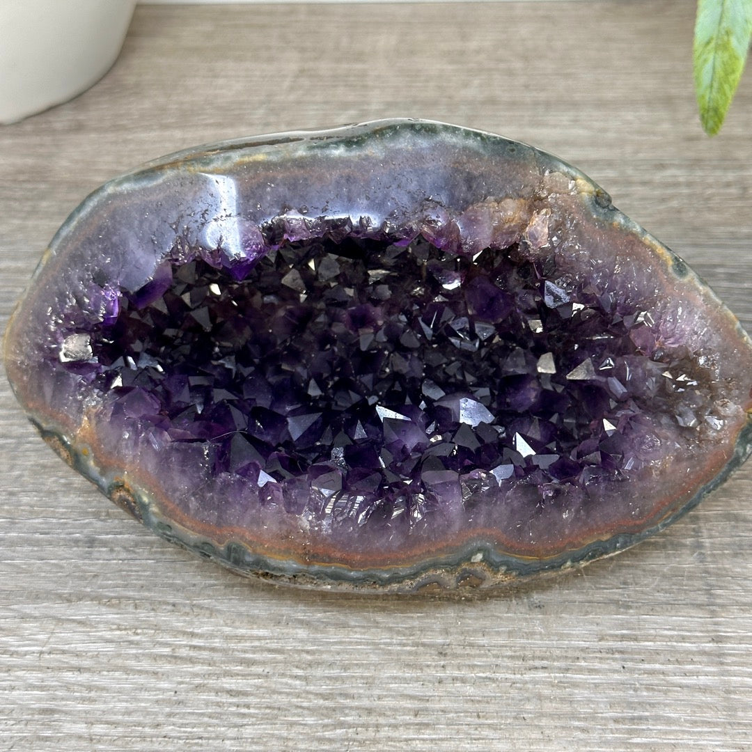 Amethyst Geode with Deep purple Crystals &amp; Polished Shell - STGE0119