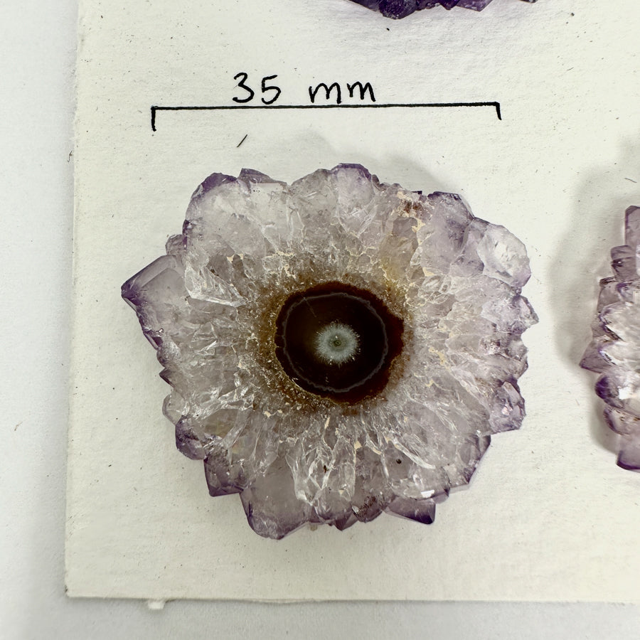 Wholesale Amethyst Stalactite Slices for Jewelry Making - Bulk Flat Set - STS0039