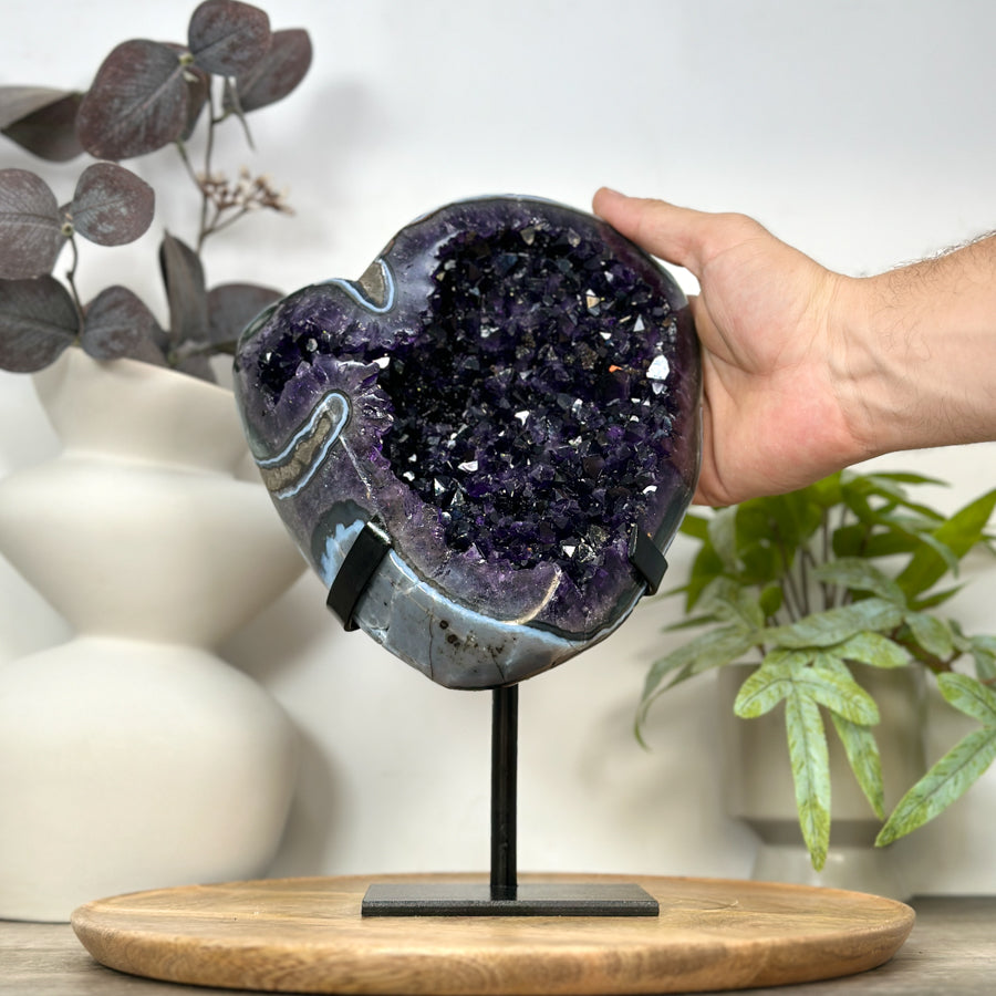 Natural Top Quality Amethyst Geode with Blue Abate Shell - MWS3073