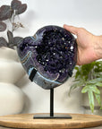 Natural Top Quality Amethyst Geode with Blue Abate Shell - MWS3073
